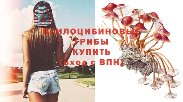 jwh Алзамай