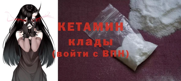 крисы Алексин