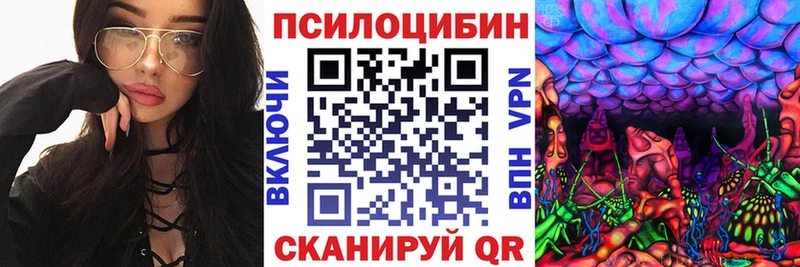 МЕГА ТОР  магазин    Мирный  Псилоцибиновые грибы Cubensis 